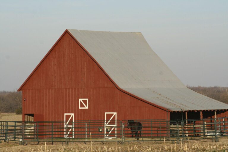 A huge red walled pole barn.
